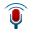 see_adjust-record-volume.png